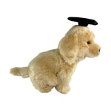 Side view of Chanel Golden Retriever in graduation hat