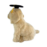 Side view of Chanel Golden Retriever in graduation hat