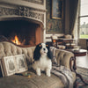 Chester (Cavalier King Charles Spaniel - 32cm sitting)