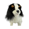 Chester (Cavalier King Charles Spaniel - 32cm sitting)