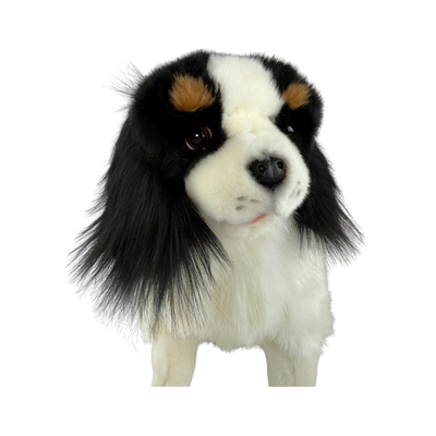 Chester (Cavalier King Charles Spaniel - 32cm sitting)