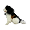 Chester (Cavalier King Charles Spaniel - 32cm sitting)