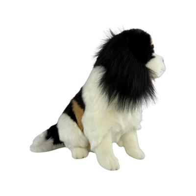 Chester (Cavalier King Charles Spaniel - 32cm sitting)