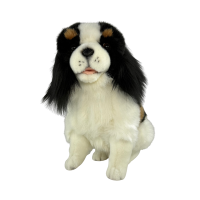 Chester (Cavalier King Charles Spaniel - 32cm sitting)