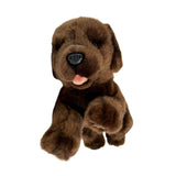 Front close-up of Coco realistic Labrador Puppy plush toy