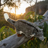 Ringtail Possum a friendly and realistic super cuddly soft toy in a tree