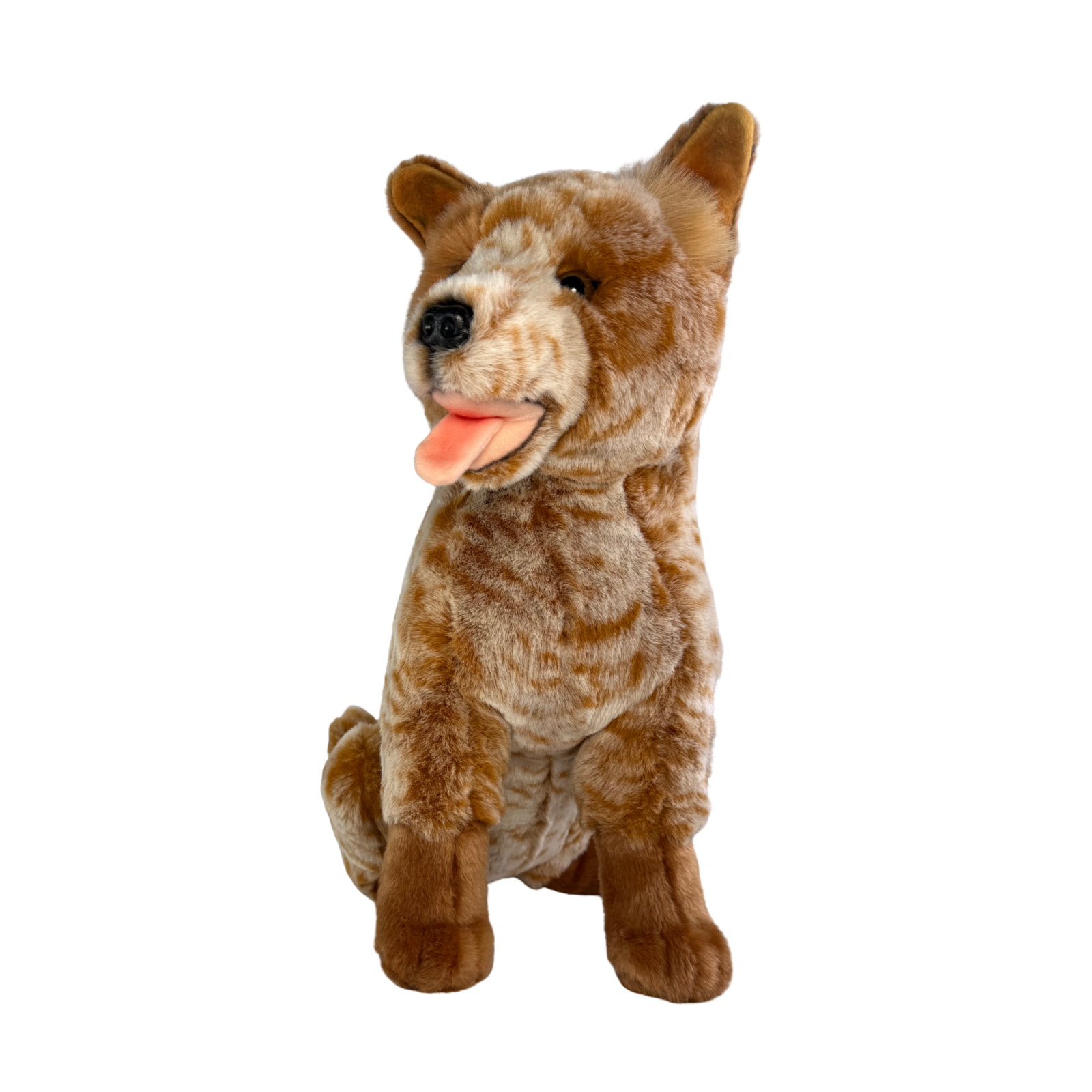 Front view of Copper realistic Cattle Dog plush toy
