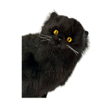 Crystal black Persian cat plush toy peeking close-up view