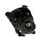 Close-up of black Staffy dog plush toy face