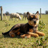 Denver dark brown Kelpie plush toy dog lying outdoors