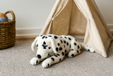 Denzel Dalmatian plush toy dog lying by indoor toy tent