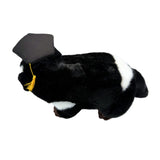 Top back view of Diego Tasmanian Devil in graduation hat