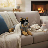 Diesel cattle dog plush toy lying on a sofa
