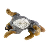 Cattle dog pocket plush toy stomach view showing pocket