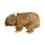 Plush toy of a brown bear on a white background