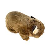 Plush toy resembling a beaver on a white background