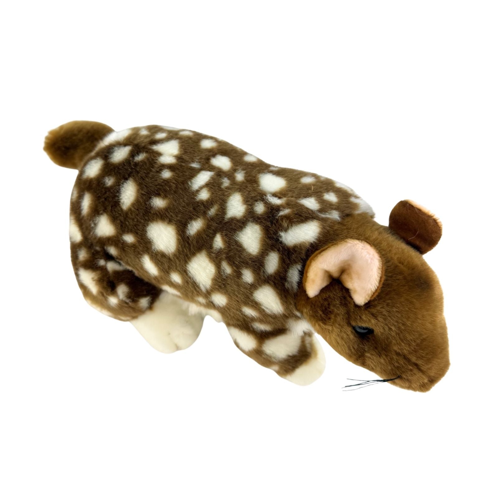 Plush toy resembling a Eastern quoll on a white background