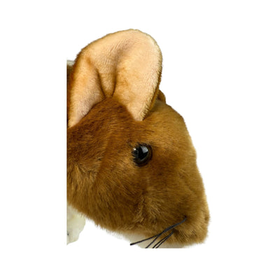 Dotti - Eastern Quoll - 30cm