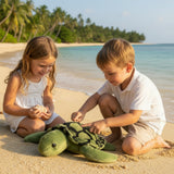 Green turtle plush toy on a beach
