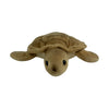 Doug (Turtle - 27cm)