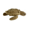 Doug (Turtle - 27cm)