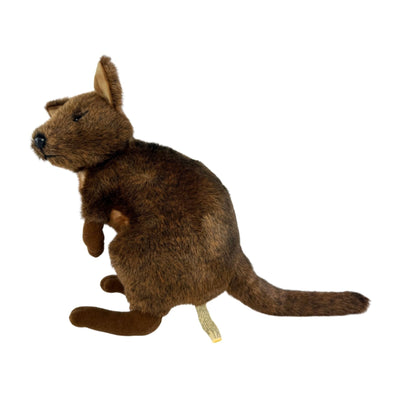 Dusky - Pademelon - 27cm