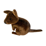 Plush toy Pademelons on a white background