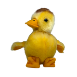 Front view of duckling plush toy