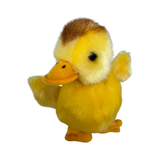 Close-up front view of duckling plush toy