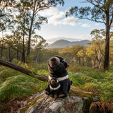 Stuffed animal sitting on a rock in a forest with mountains in the background