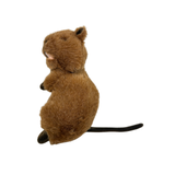 medium Quokka plush toy 