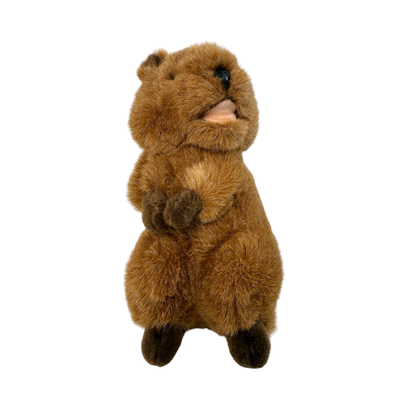 Edward (Quokka - 21cm standing)