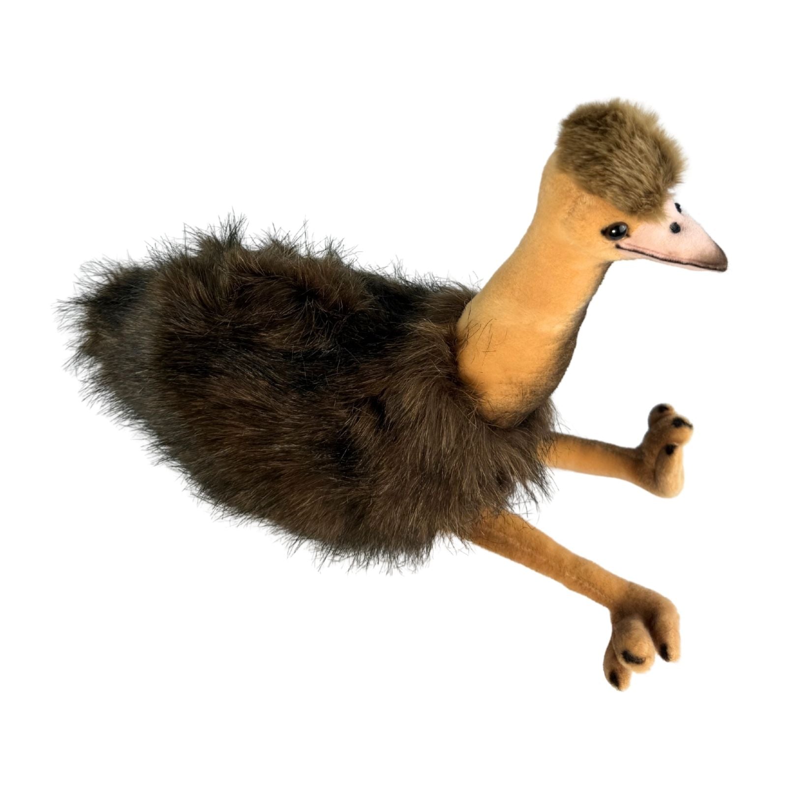 Plush toy emu on a white background