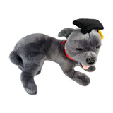 Lying Staffy plush toy in graduation hat