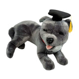 Lying Staffy plush toy in graduation hat
