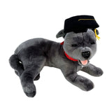 Lying Staffy plush toy in graduation hat