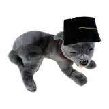 Lying Staffy plush toy in graduation hat