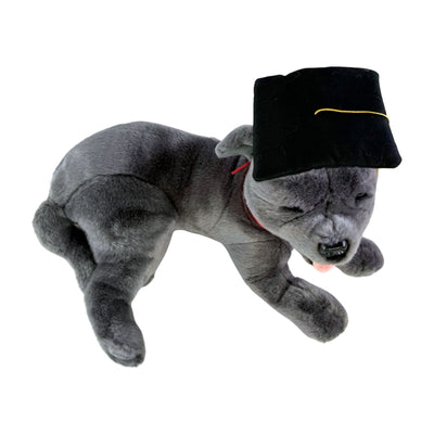 Gradhat Flint - Staffy with Graduation Hat