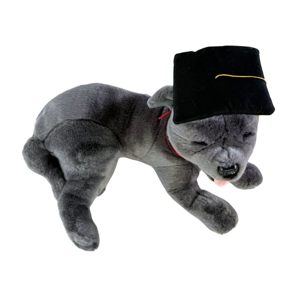 Gradhat Flint With Graduation Hat - Staffy - 35cm lying, grey