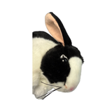 Close-up face of rabbit plush toy