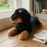 Frankie - Dachshund - 30cm floppy, black and tan