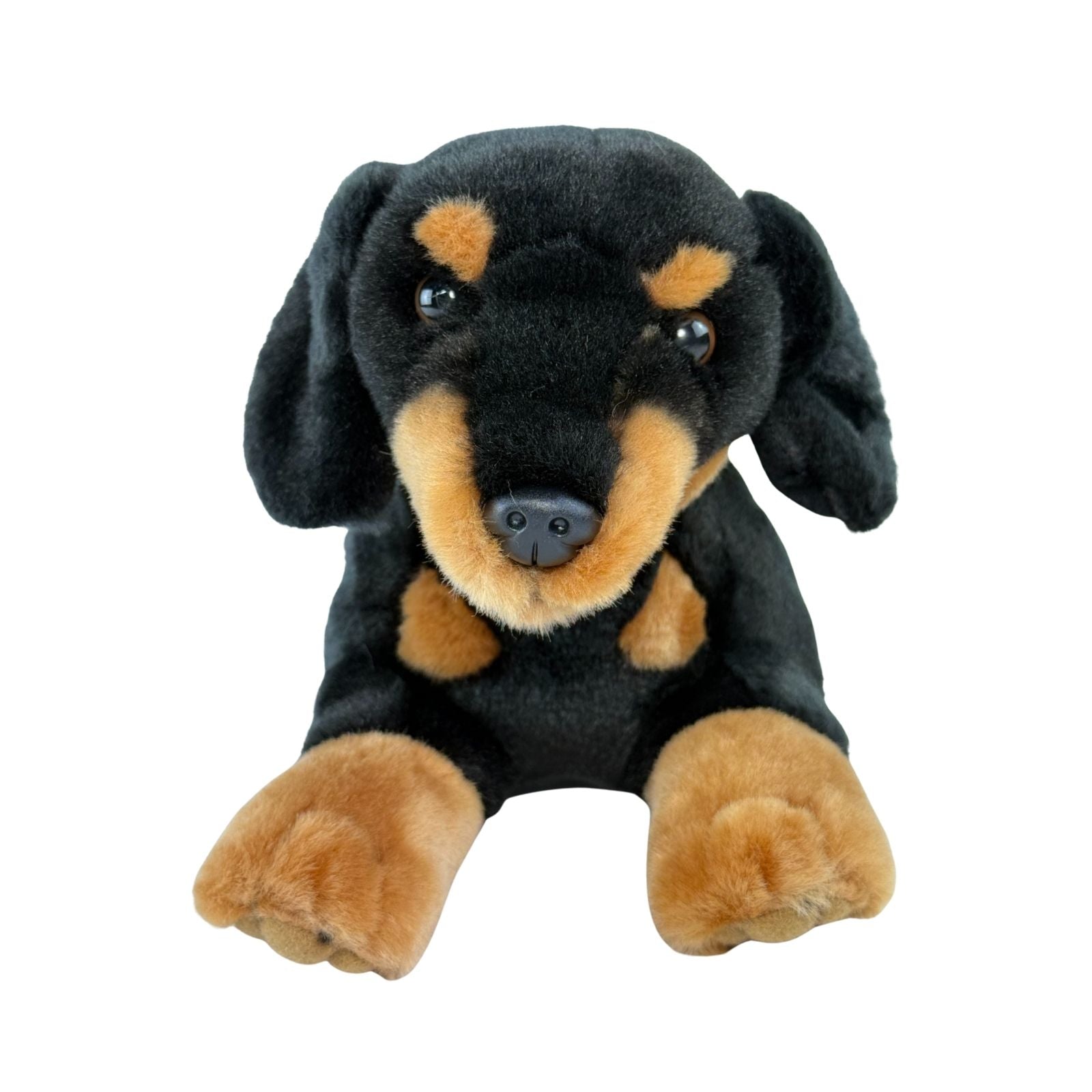 Front view of Dachshund plush toy