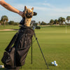French Bulldog Golf Cover, brown