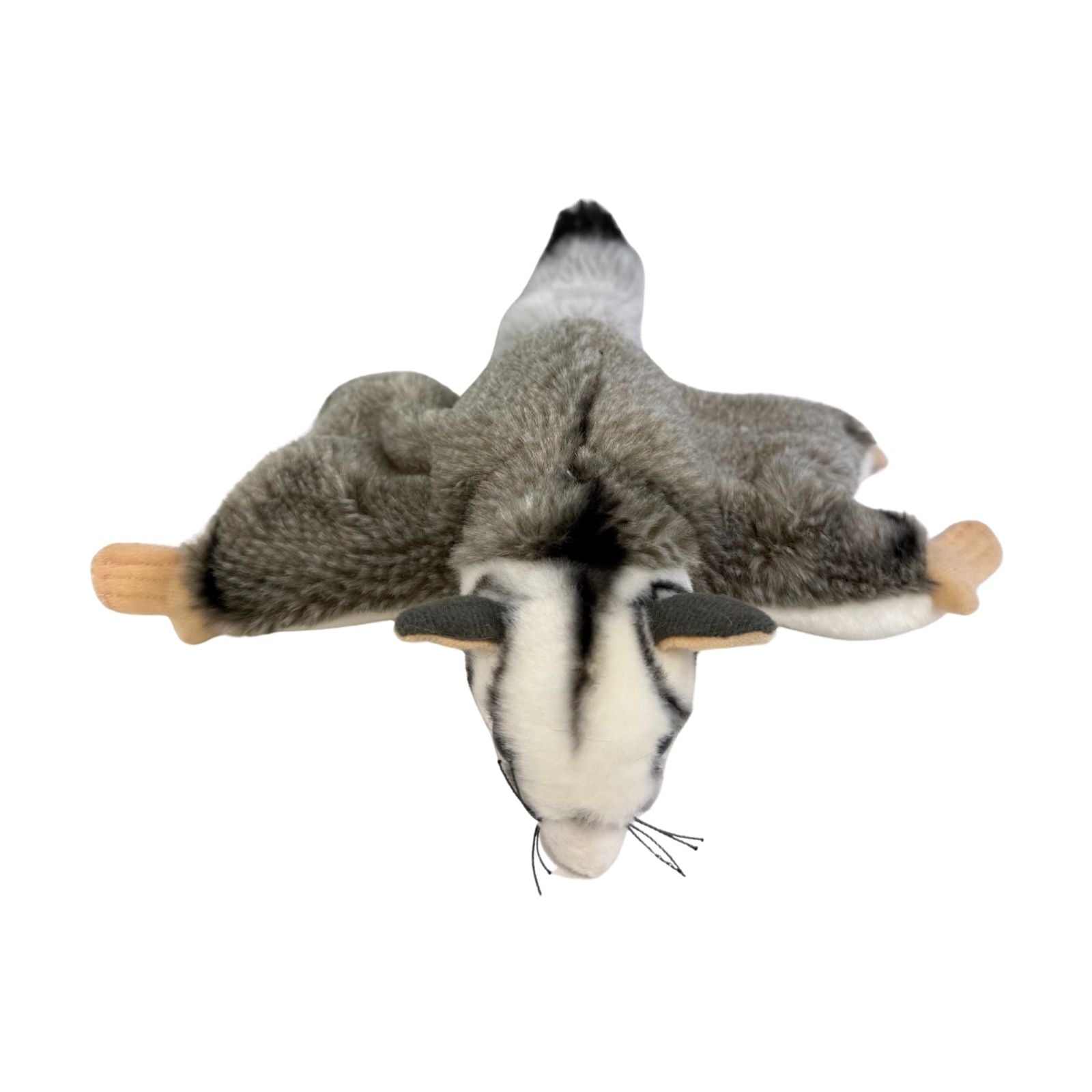 Squirrel Glider plush toy