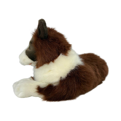 Fudge (Border Collie - 62cm lying, chocolate)