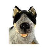 Close up of lying blue heeler plush dog toy