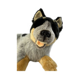 Close up of lying blue heeler plush dog toy