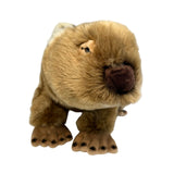 Plush toy groundhog on a white background