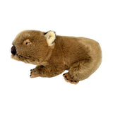 Plush toy beaver on a white background
