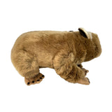Plush bear toy on a white background